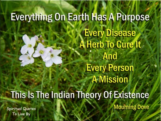 Mourning Dove quote: Everything on Earth has a purpose, every disease a herb to cure it, and every person a mission. This is the Indian theory of existence. - Spiritual Quotes To Live By
