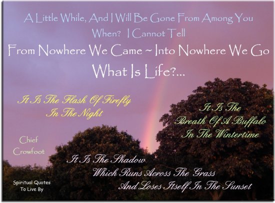 Chief Crowfoot quote: A little while and I will be gone from among you, when I cannot tell. From nowhere we came, into nowhere we go. What is life?.. Spiritual Quotes To Live By